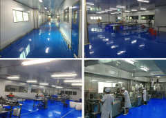 法務(wù)專員在網(wǎng)絡(luò)信息技術(shù)服務(wù)中的角色與職責(zé)