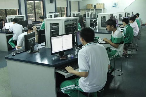 實(shí)習(xí)匯報(bào) 網(wǎng)絡(luò)信息技術(shù)服務(wù)實(shí)踐與成長